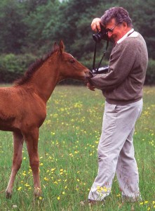 Tor Eigeland photographing horses