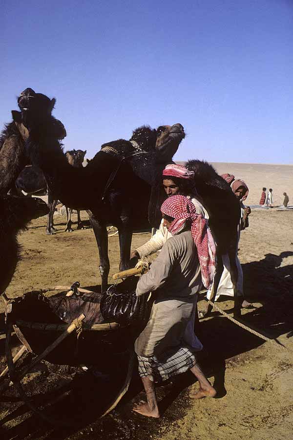 Tor Eigeland - Bedouins of the Al-Murrah tribe hauling water from a deep well in the Empty Quarter, the Rub al-Khali, of Saudi Arabia. W6023