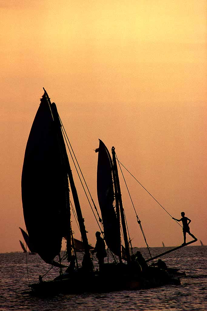 Tor Eigeland - Fishing boats on Egypt's Lake Manzala. W6394